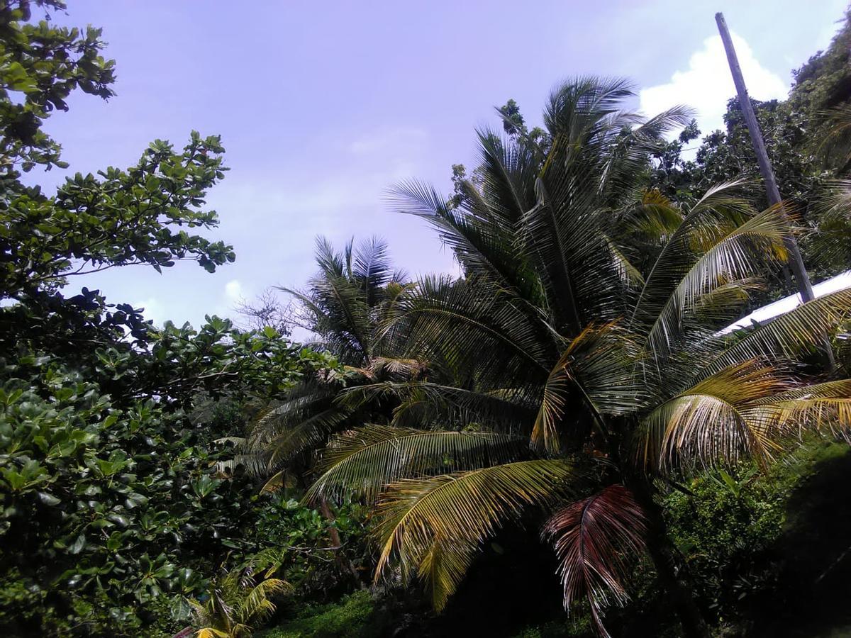 Hotel Port Antonio Brian'S Beach House Exterior foto